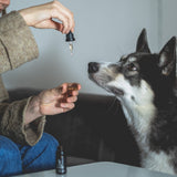 Back on Paws - 2,5% CBD õli lemmikloomale (250mg) - H Drop Eesti